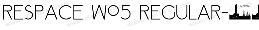 Respace W05 Regular字体转换